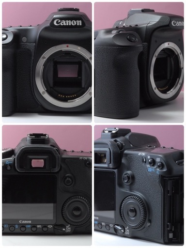 ✨美品✨Canon 40D 望遠レンズセット✨S数僅か✨ 初心者さんにオススメ ✨美品✨Canon 40D 望遠レンズセット✨S数僅か✨ 初心者さんにオススメ