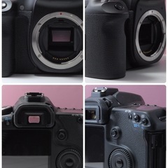 美品　Canon 40D 望遠レンズセット　ショット数わずか　初心者さんにオススメ　CFカードつき！の画像