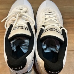 バッシュ　の画像