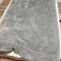 ニトリNウォーム毛布グレーの画像