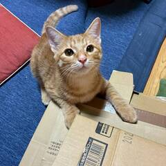 11月2日（日）里親会参加★たくむ★