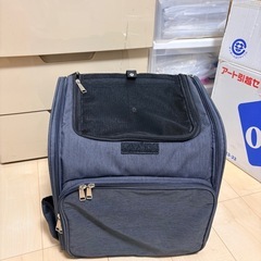 ネコばっぐバッグの画像