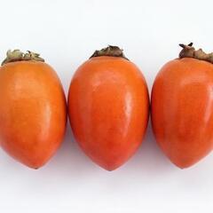 筆柿　１kg 600円　２kg 1,100円　３kg 1,500円の画像