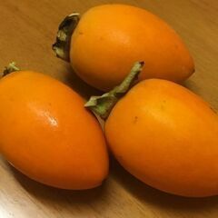 筆柿　１kg 600円　２kg 1,100円　３kg 1,500円の画像