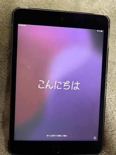 iPad mini 