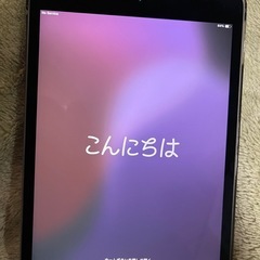 iPad mini の画像