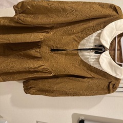 ワンピースの画像