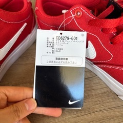 Nike ナイスSBチャージキャンバス の画像