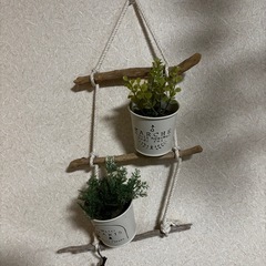 観葉植物　フェイクの画像