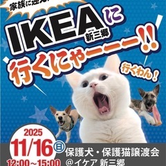 11/16（日）IKEA新三里　保護猫・保護犬譲渡会