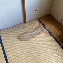 【無料】 畳 6枚セット 6畳用 レトロ リフォーム ②の画像