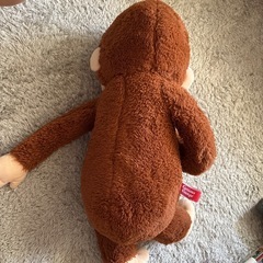 ぬいぐるみの画像