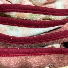 ★受付中【桂由美YUMI KATSURA】ブランケット毛布　シングルサイズ1枚の画像