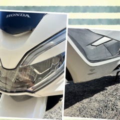 PCX125-JF81モデルの画像