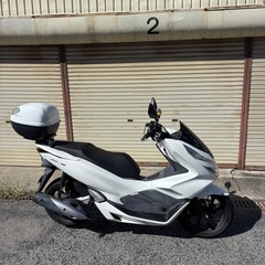 PCX125-JF81モデルの画像