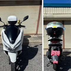 PCX125-JF81モデルの画像
