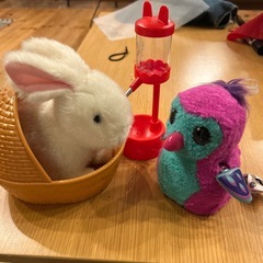 動くおもちゃセットの画像