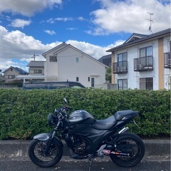 ジクサー250 ネイキッドカスタムの画像