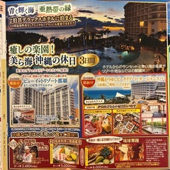美ら海 沖縄の休日 3日間 バロー 感謝賞の画像