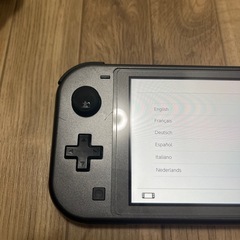 Switch Light ディアルガ パルキア の画像