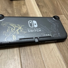 Switch Light ディアルガ パルキア の画像
