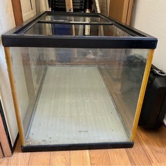 大きい水槽の画像