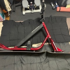 SNOWSCOOT styl
の画像
