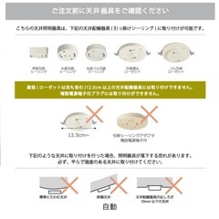 LEDライト付きシーリングライト（マットブラック）の画像