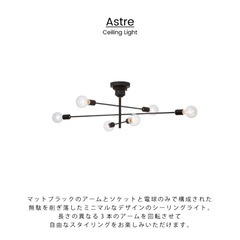 LEDライト付きシーリングライト（マットブラック）の画像