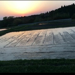 商談中★令和6年産　きらみずき　5キロ の画像