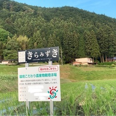 商談中★令和6年産　きらみずき　5キロ の画像