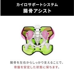 姿勢矯正スタイルビー座椅子の画像