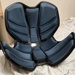 姿勢矯正スタイルビー座椅子の画像