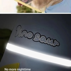 中型 大型 犬用 レインコートの画像