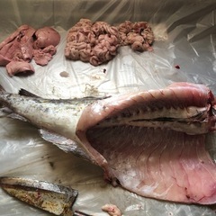 物物交換