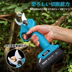 高枝チェーンソー 電動 6インチ コードレス 充電式チェーンソーセット 剪定バサミ付き 一台四役 オイルボトル搭載 バッテリー2個の画像