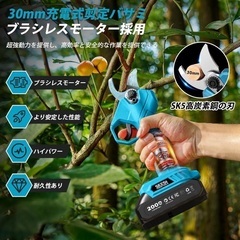 高枝チェーンソー 電動 6インチ コードレス 充電式チェーンソーセット 剪定バサミ付き 一台四役 オイルボトル搭載 バッテリー2個の画像