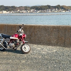 ２０００年モデルモンキーの画像