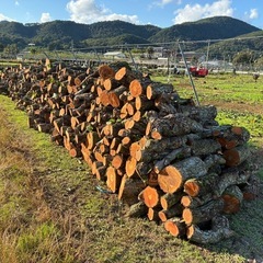 新NO6 薪用梨の玉切り軽トラ一台分　350Kg 福島市引取り限定の画像