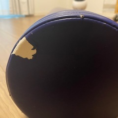 （決まりました）ストレッチポール の画像