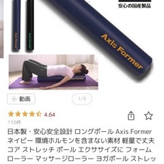 （決まりました）ストレッチポール の画像