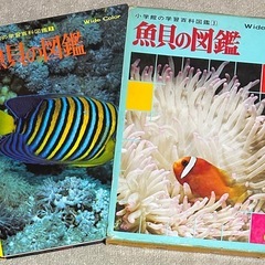 昭和 当時物 小学館の学習百科図鑑 植物の図鑑 昆虫の図鑑 魚貝の図鑑 鳥類の図鑑 4冊 No,1〜No,4 図鑑の画像