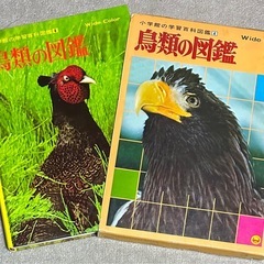 昭和 当時物 小学館の学習百科図鑑 植物の図鑑 昆虫の図鑑 魚貝の図鑑 鳥類の図鑑 4冊 No,1〜No,4 図鑑の画像