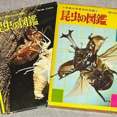 昭和 当時物 小学館の学習百科図鑑 植物の図鑑 昆虫の図鑑 魚貝の図鑑 鳥類の図鑑 4冊 No,1〜No,4 図鑑の画像