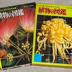 昭和 当時物 小学館の学習百科図鑑 植物の図鑑 昆虫の図鑑 魚貝の図鑑 鳥類の図鑑 4冊 No,1〜No,4 図鑑の画像