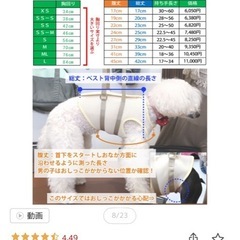 ペットハーネスの画像