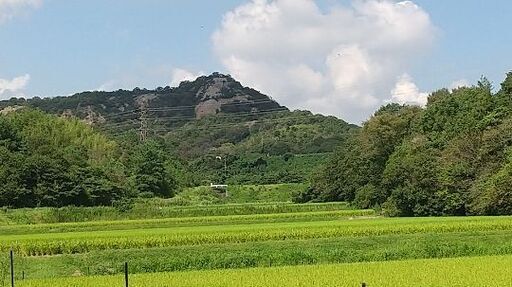 令和7年　新米ヒノヒカリ玄米30㌔。