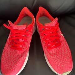 取引予定者決定
NIKEランニングシューズ の画像