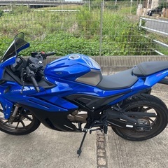 【激レア】GPX デーモン200R 国内流通少・超美品！低走行即乗りOK【千葉発】の画像