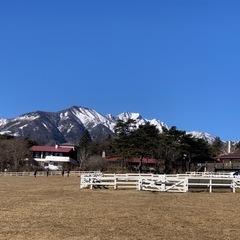 卓球、バトミントンしたい
